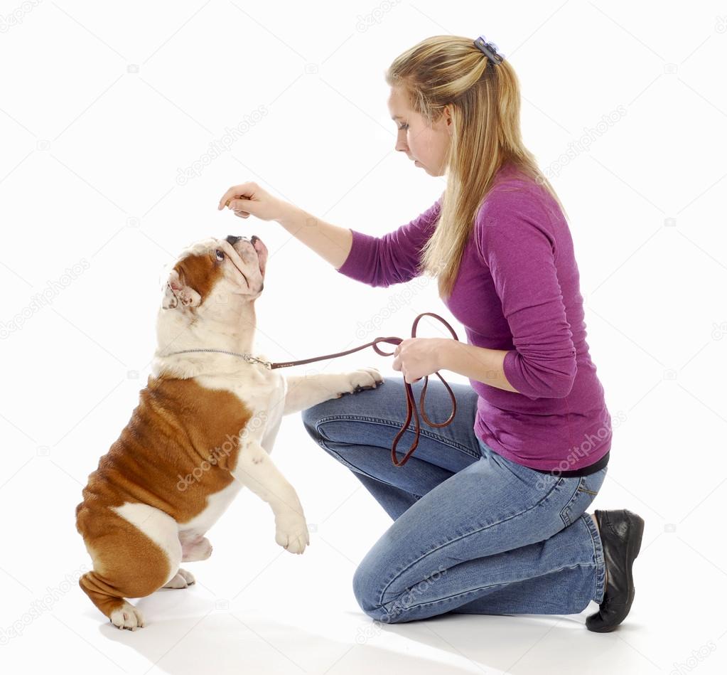 Cane seduto al piede in obbedienza